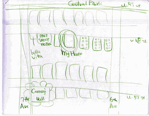 Figure 2: Participatory map from P9