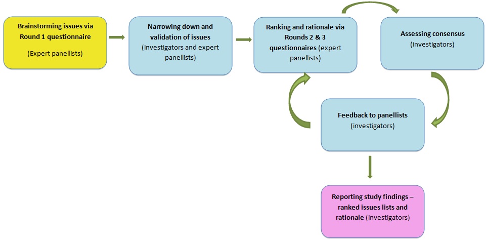 Figure 1. Basic structure of the example study