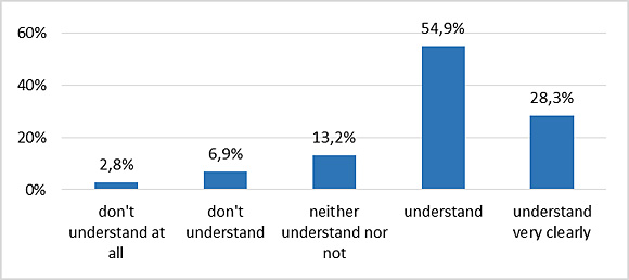 Figure 3: Patients' understanding of illness