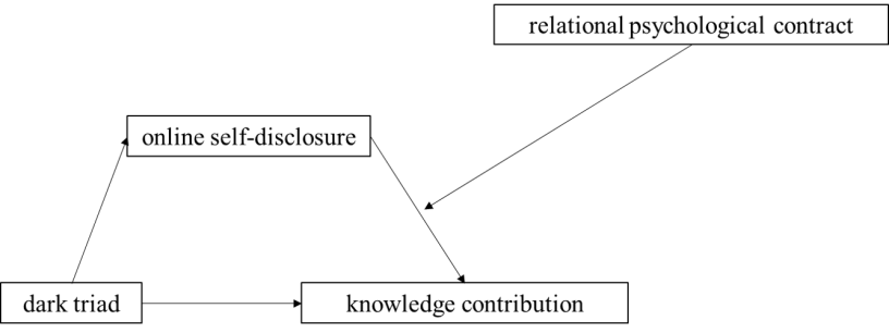 Model of factors influencing the knowledge contribution.