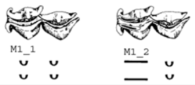 Numbering example