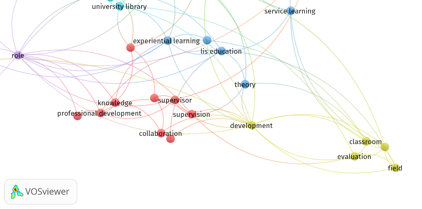 Figure 1: Visualizing theme in library and information science practicum literature